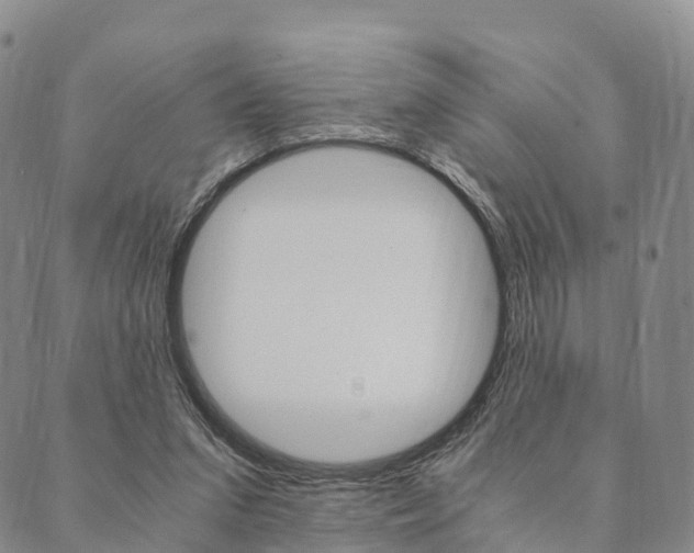 X0000090450207200707130937