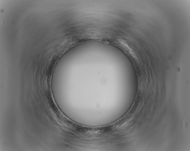 X0000090450213200707130937