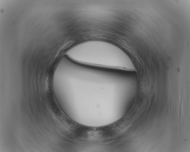 X0000090450216200707130937