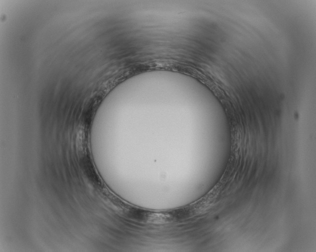 X0000090450222200707130937