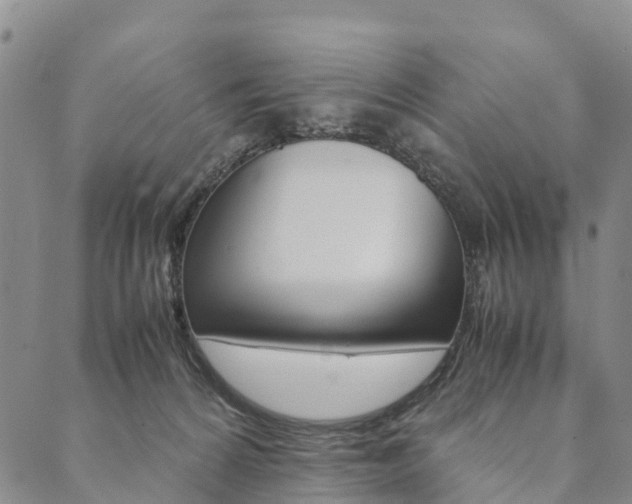 X0000090450224200707130937