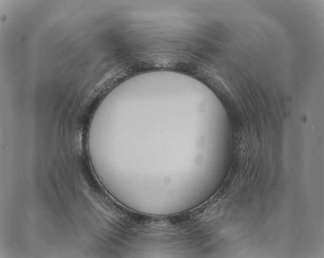 X0000090450262200707130936
