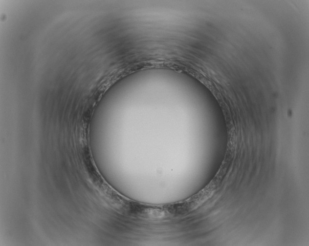 X0000090450272200707130936