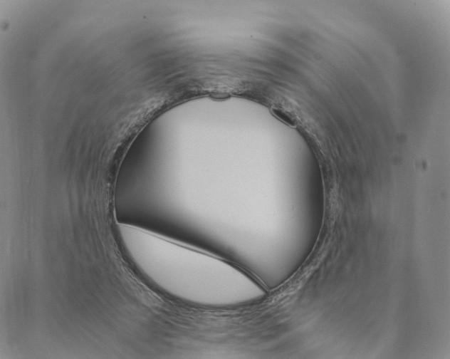 X0000090450305200707130935