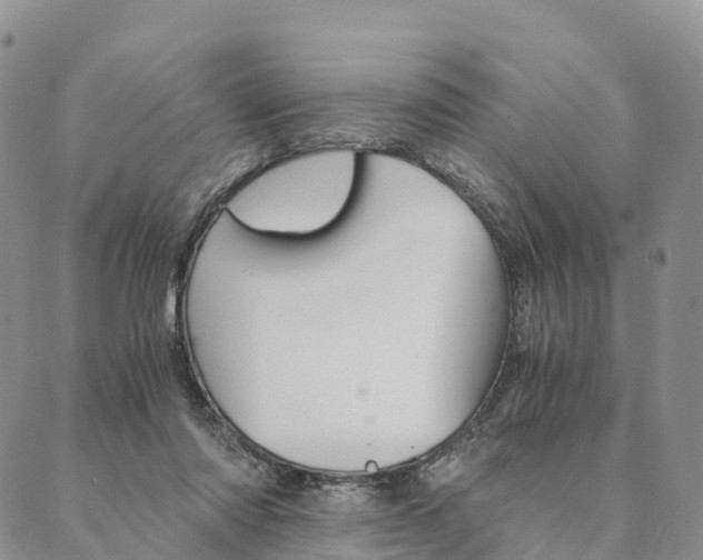 X0000090450310200707130935