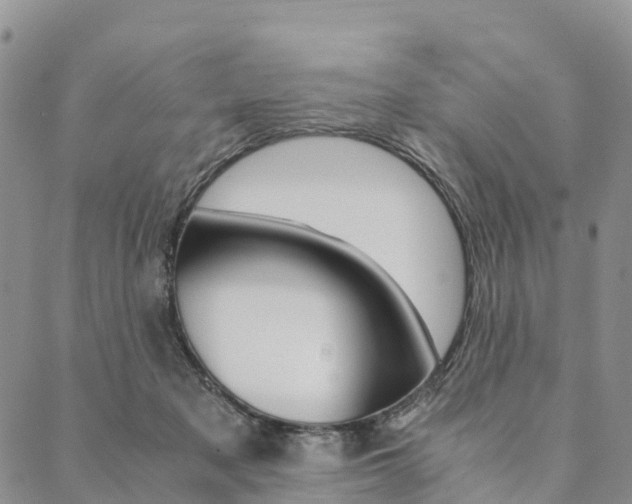 X0000090450317200707130935