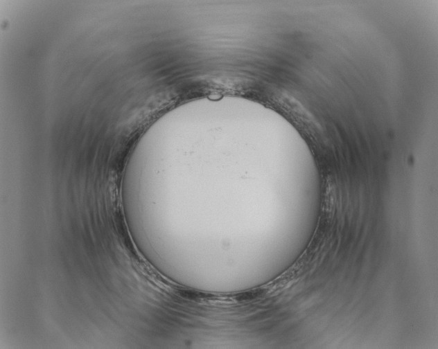 X0000090450318200707130935
