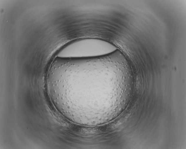 X0000090450351200707130934