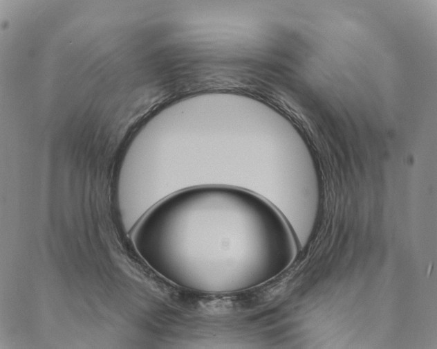 X0000090450362200707130934