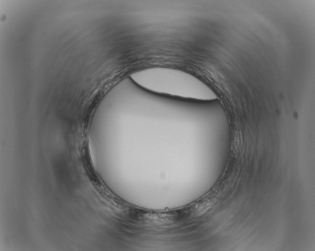 X0000090450367200707130934