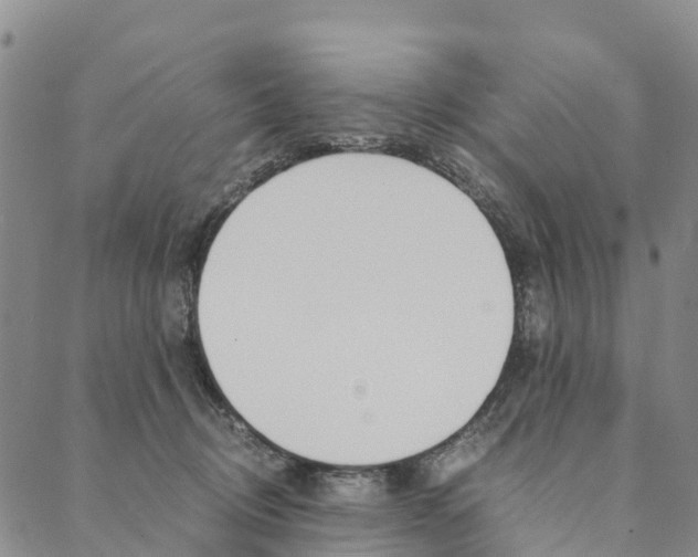 X0000090450370200707130934