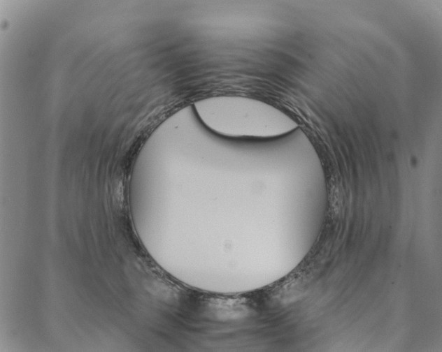 X0000090450375200707130935