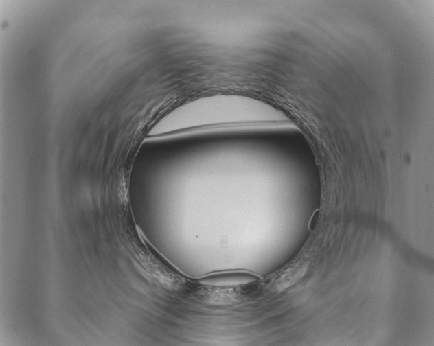 X0000090450384200707130935