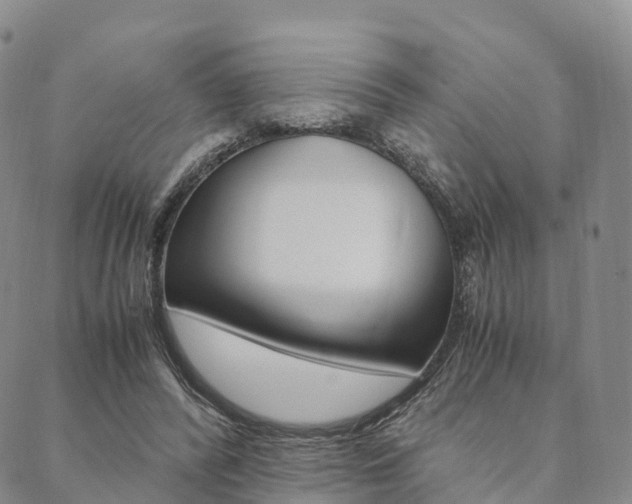 X0000090450400200707130934