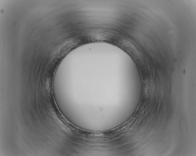 X0000090450410200707130934