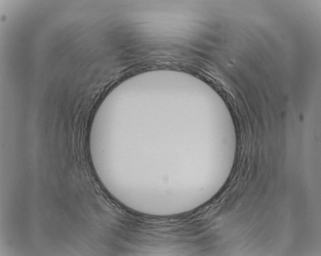 X0000090450417200707130933