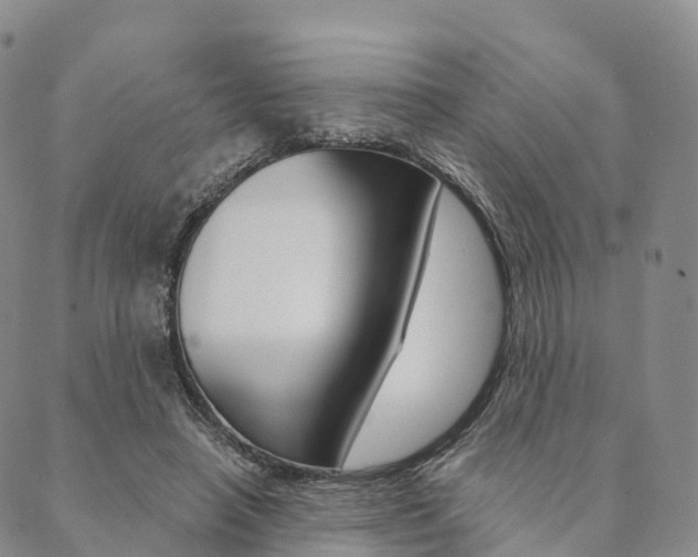 X0000090450450200707130933