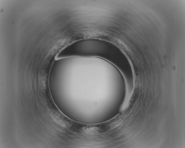X0000090450452200707130933