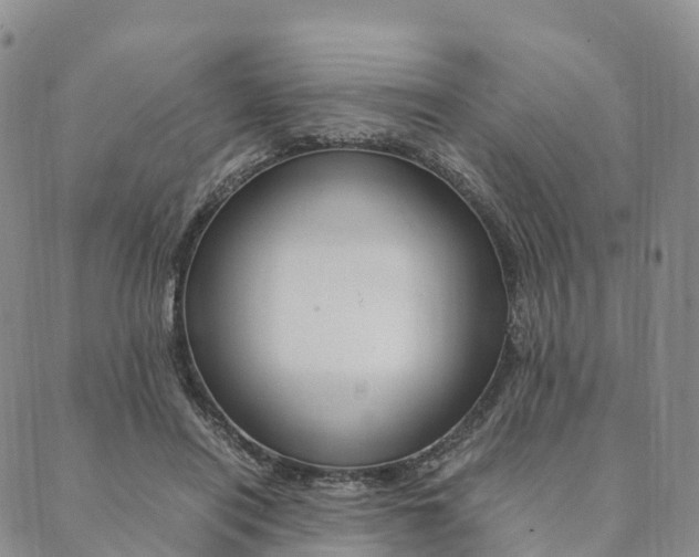 X0000090450454200707130933
