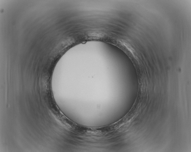 X0000090450455200707130933