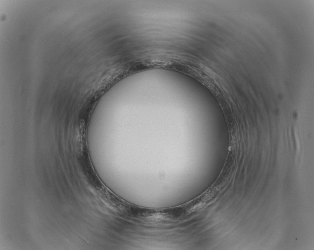 X0000090450460200707130933