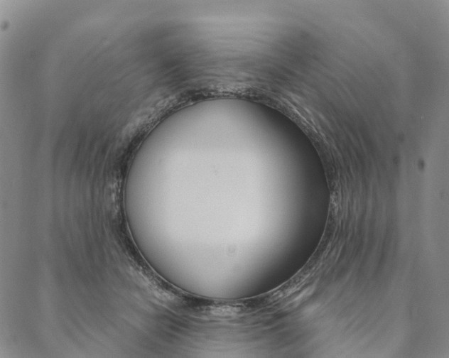 X0000090450462200707130933