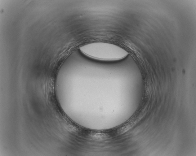 X0000090450467200707130933