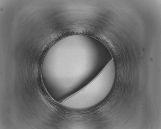 X0000090450496200707130932