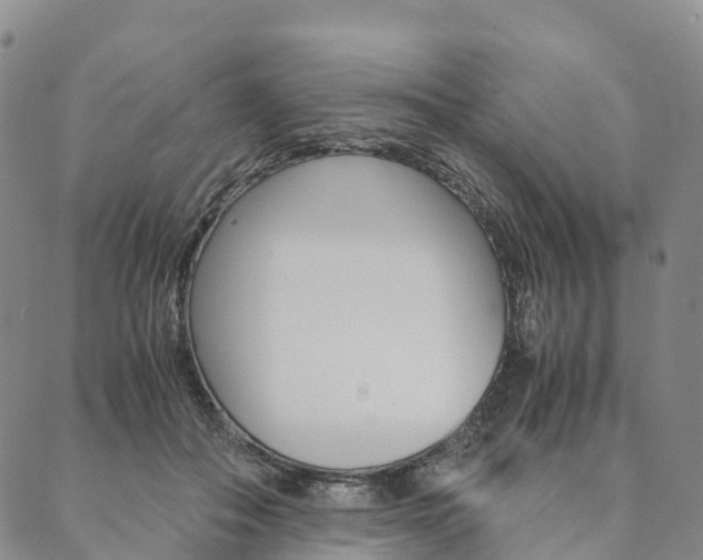 X0000090450506200707130932