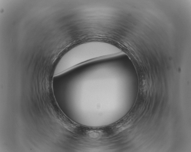 X0000090450508200707130932