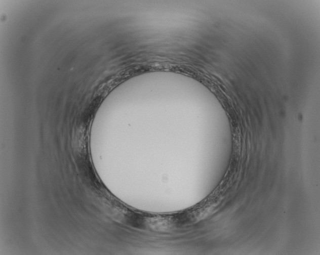X0000090450511200707130932