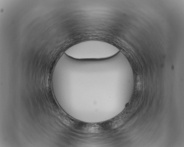 X0000090450514200707130932
