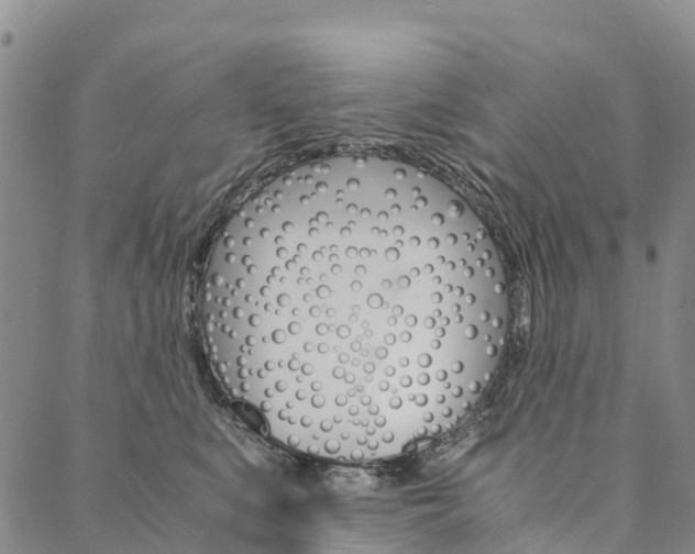 X0000090450519200707130932