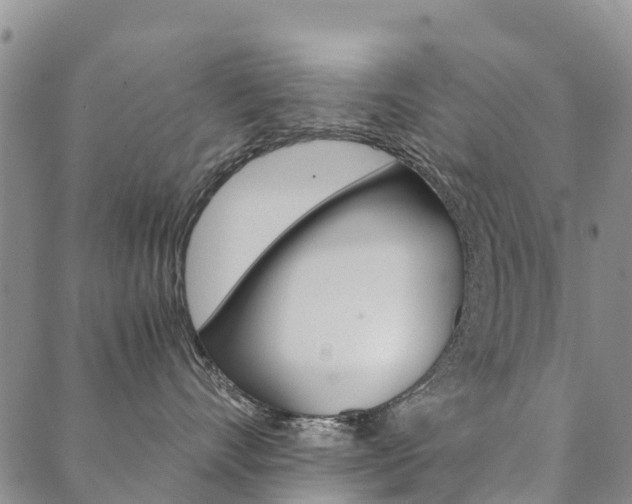 X0000090450528200707130932