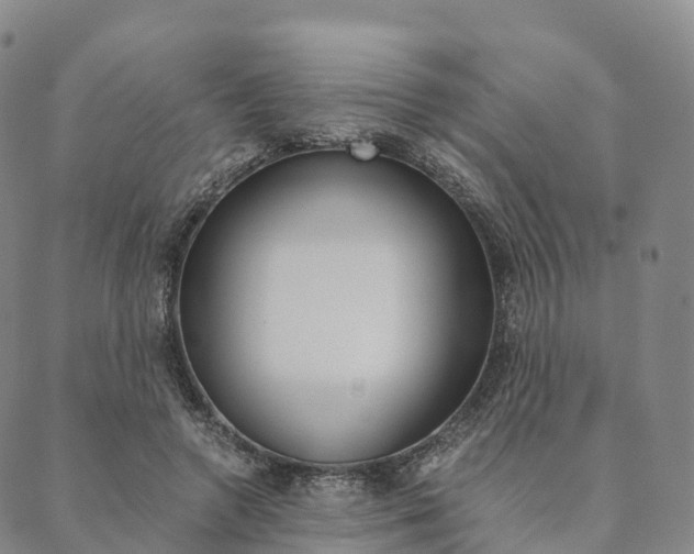 X0000090450546200707130931