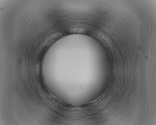 X0000090450551200707130931