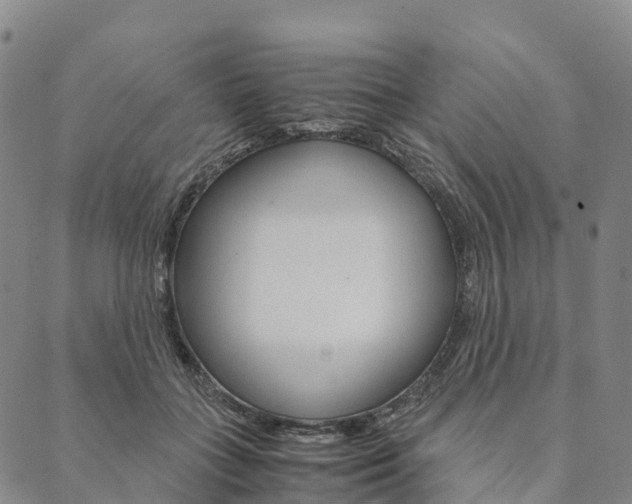 X0000090450555200707130931