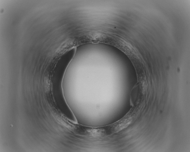 X0000090450558200707130931