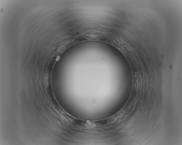 X0000090450562200707130931