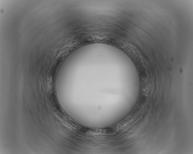 X0000090450563200707130931
