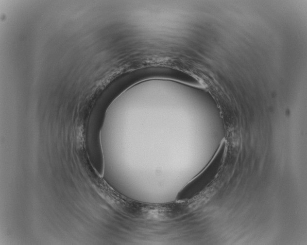 X0000090450564200707130931