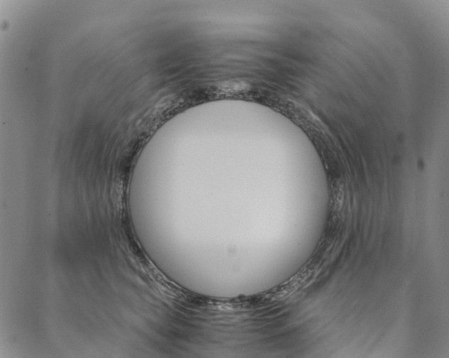 X0000090450565200707130931