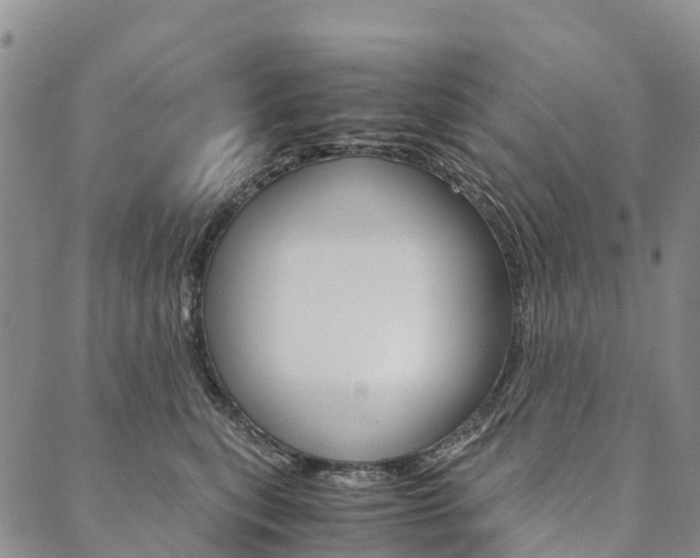 X0000090450567200707130931