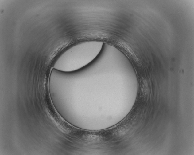 X0000090450590200707130931
