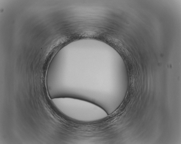 X0000090450591200707130931