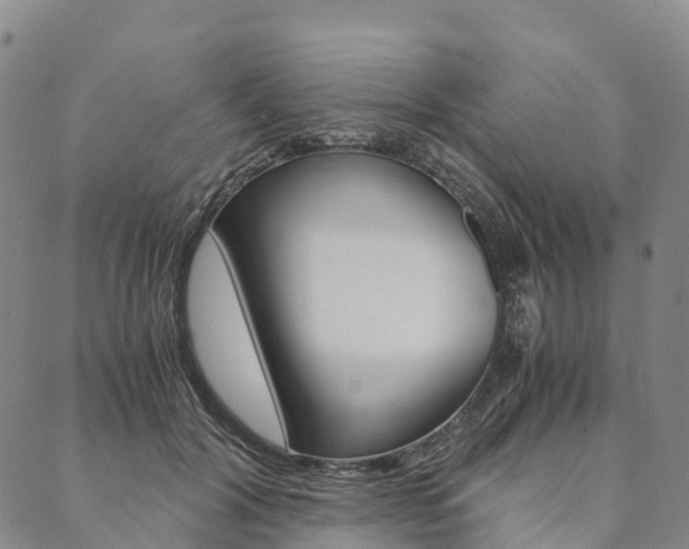 X0000090450604200707130930