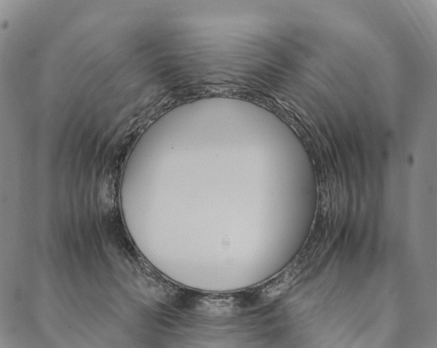 X0000090450606200707130930