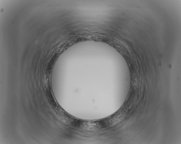 X0000090450607200707130930