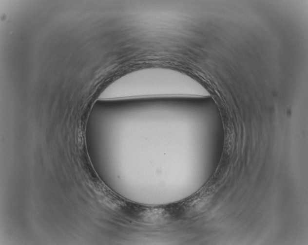 X0000090450609200707130930