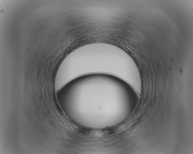 X0000090450613200707130930